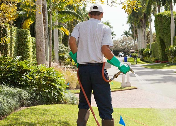 About Gracemont OK Pest Control